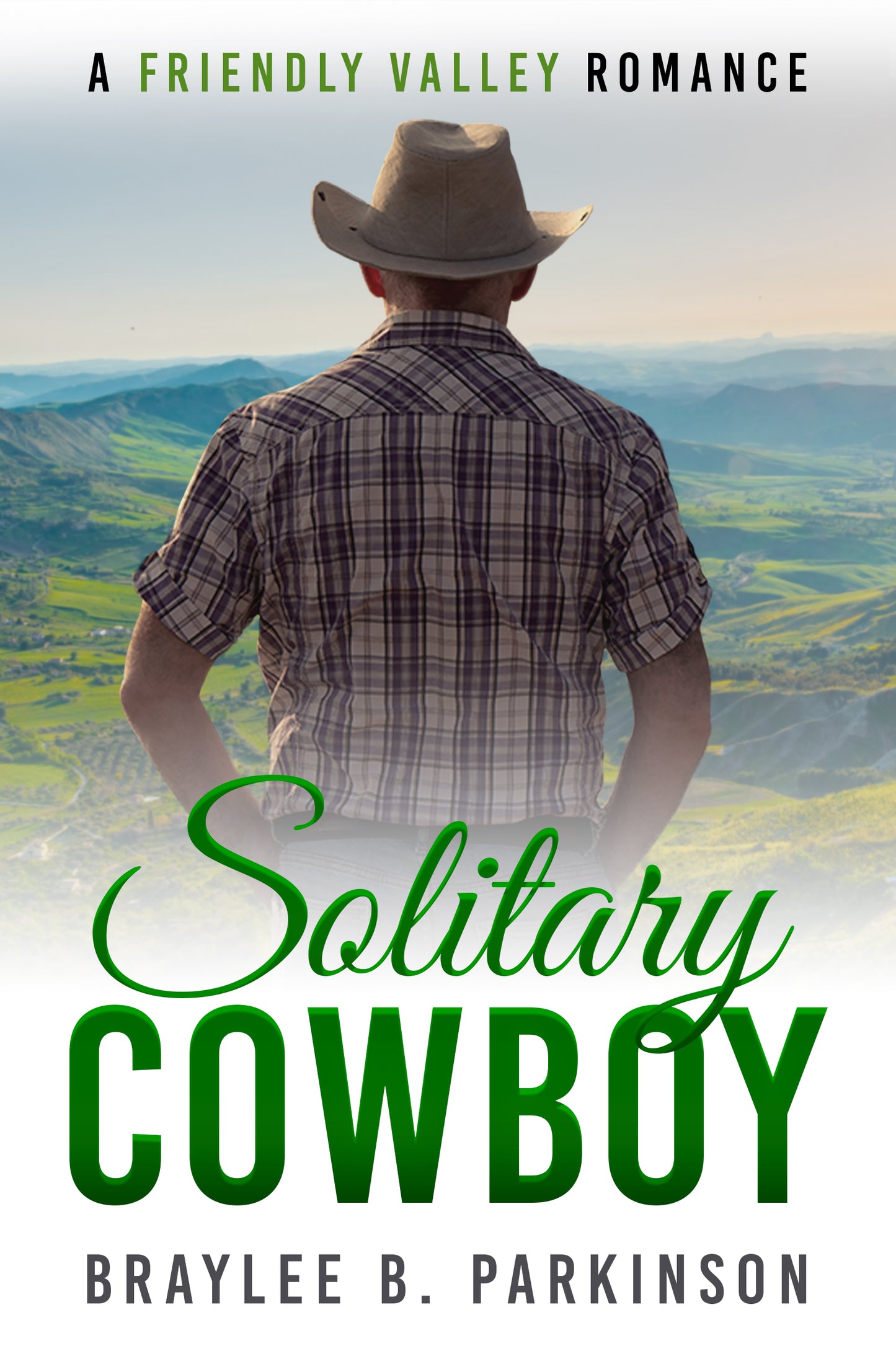 Solitary Cowboy